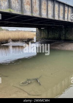 Newton Abbot, Devon, Regno Unito. Crediti: Nidpor/Alamy Live News Foto Stock