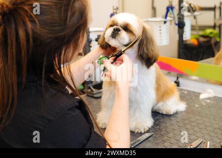 mani di un rifinitore professionista al lavoro Foto Stock