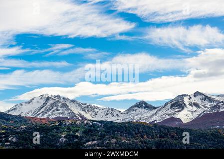 Navigando attraverso il Canale di Beagle, all'estremità meridionale del Sud America, Argentina e Cile Foto Stock