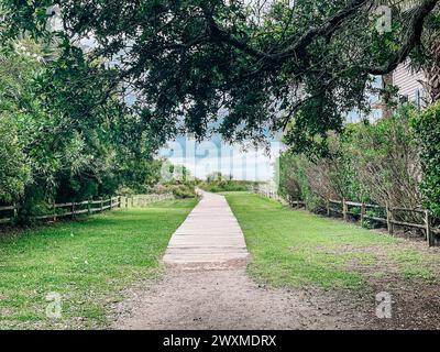 Passeggiata sulla spiaggia di Charleston, l'isola di Sullivan Foto Stock