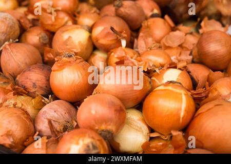 Cipolla bulbo in cesti di vimini al banco del mercato Foto Stock