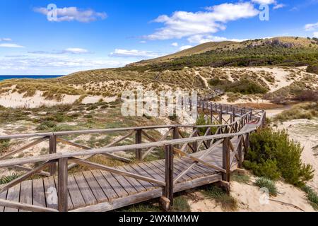 Passerella in legno attraverso dune di sabbia a Cala Mesquida, Maiorca, Isole Baleari, Spagna Foto Stock