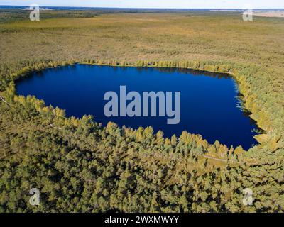 Veduta aerea di Miknaiciu Ezeras nei Musos tyrelis in Lituania Foto Stock