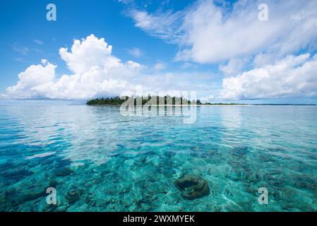 L'isola di Koon nel Maluku. Nella parte orientale dell'Indonesia ci sono diverse bellissime isole in mezzo all'oceano con spiagge di sabbia bianca. Foto Stock