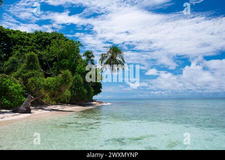 L'isola di Koon nel Maluku. Nella parte orientale dell'Indonesia ci sono diverse bellissime isole in mezzo all'oceano con spiagge di sabbia bianca. Foto Stock