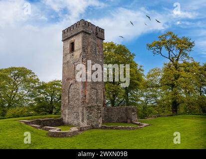 Il castello di Cúchulainn, una torre neogotica in rovina ora nota come "Byrne's Folly", si trova ai margini di Dundalk nella contea di Louth, Irlanda. Foto Stock