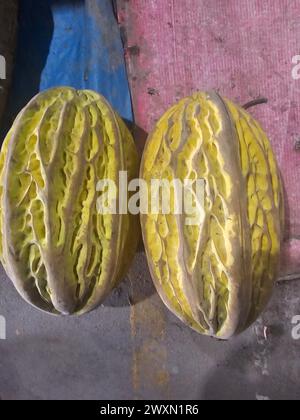 Frutto di cacao (theobromo cacao) proveniente dall'Amazzonia peruviana Foto Stock