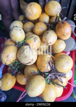 Granadilla (Passifora ligularis) dall'Amazzonia peruviana Foto Stock