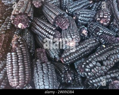 Mais viola dal Perù Foto Stock