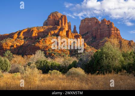 Roccia della cattedrale e flora semi-desertica, tramonto. Sedona, Arizona, USA, di Dominique Braud/Dembinsky Photo Assoc Foto Stock