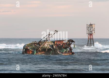 Il relitto del Sovereign (BF380), un peschereccio registrato a Banff che si arenò sulle rocce del porto di Cairnbulg nel 2005, Scozia Regno Unito Foto Stock