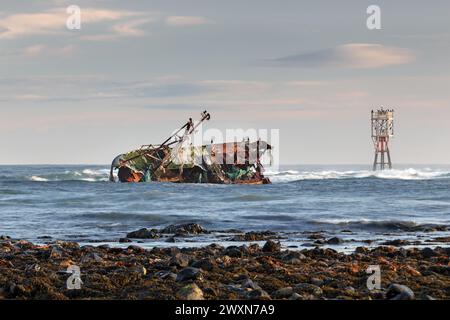 Il relitto del Sovereign (BF380), un peschereccio registrato a Banff che si arenò sulle rocce del porto di Cairnbulg nel 2005, Scozia Regno Unito Foto Stock