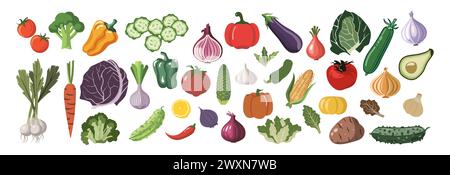 Insieme di icone vettoriali di verdure diverse isolate. Illustrazione Vettoriale