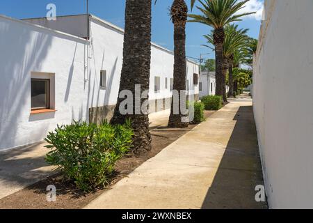 Strada del villaggio di pescatori di Poble Nou del Delta con le sue tipiche case bianche. Delta del Ebro, Tarrag Foto Stock