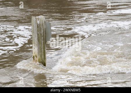 Maidenhead, Berkshire, Regno Unito. 1 aprile 2024. Una forte corrente se scorre lungo il Tamigi. Era un giorno di sole e di docce oggi il lunedì di Pasqua a Maidenhead, Berkshire. Crediti: Maureen McLean/Alamy Live News Foto Stock