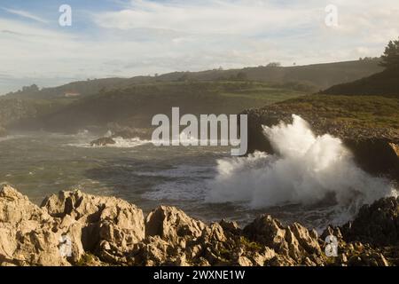 Vista dal punto panoramico Punta Radon verso una zona vicino alla spiaggia Playa de Los Curas, Spagna, Aturias, comune di Llanes Foto Stock