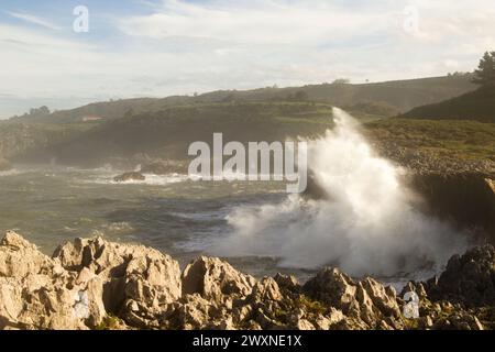 Vista dal punto panoramico Punta Radon verso una zona vicino alla spiaggia Playa de Los Curas, Spagna, Aturias, comune di Llanes Foto Stock