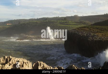 Vista dal punto panoramico Punta Radon verso una zona vicino alla spiaggia Playa de Los Curas, Spagna, Aturias, comune di Llanes Foto Stock