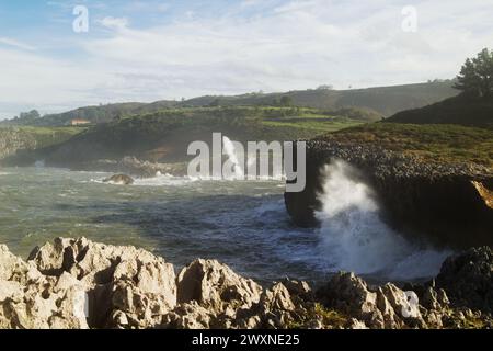 Vista dal punto panoramico Punta Radon verso una zona vicino alla spiaggia Playa de Los Curas, Spagna, Aturias, comune di Llanes Foto Stock