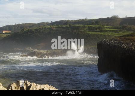 Vista dal punto panoramico Punta Radon verso una zona vicino alla spiaggia Playa de Los Curas, Spagna, Aturias, comune di Llanes Foto Stock