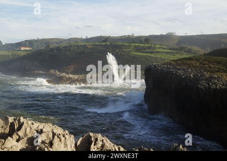 Vista dal punto panoramico Punta Radon verso una zona vicino alla spiaggia Playa de Los Curas, Spagna, Aturias, comune di Llanes Foto Stock