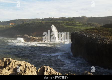 Vista dal punto panoramico Punta Radon verso una zona vicino alla spiaggia Playa de Los Curas, Spagna, Aturias, comune di Llanes Foto Stock