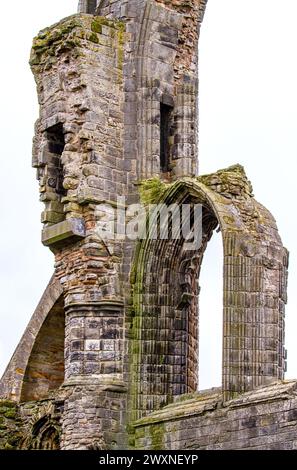 Vista sulla storica abbazia di St Andrews del 1158 e sulla cattedrale nella contea di Fife, Scozia Foto Stock