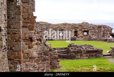 Vista dello storico castello di St Andrews del XIII secolo, contea di Fife, Scozia Foto Stock