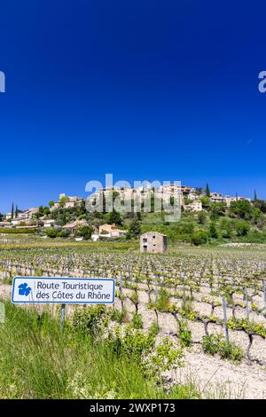 Tipico vigneto con strada del vino (Route Touristique des Cotes du Rhone) vicino a Faucon, Cotes du Rhone, Francia Foto Stock