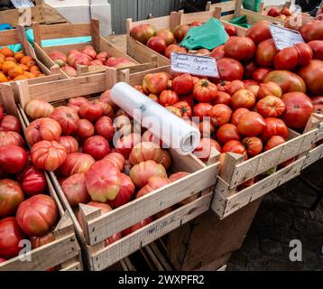 Una varietà di pomodori cimellati maturi sono disposti ordinatamente in casse di legno, pronte per l'acquisto da parte dei clienti a Loule, Portogallo. Foto Stock