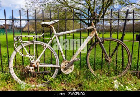 Bicicletta dragata dal fiume Cam Cambridge Foto Stock