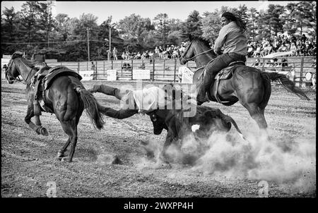 Detroit, Michigan, Stati Uniti. 10 giugno 2023. DETROIT MICHIGAN: L'ex giocatore della NFL Robert Hughes e ora il concorrente Black Cowboy (a destra) gioca il ruolo di pick-up man nella competizione di wrestling Steer durante il Midwest Invitational Rodeo presso la zona fieristica della contea di Wayne a Bellville, mi (Credit Image: © Brian Branch Price/ZUMA Press Wire) SOLO PER USO EDITORIALE! Non per USO commerciale! Foto Stock