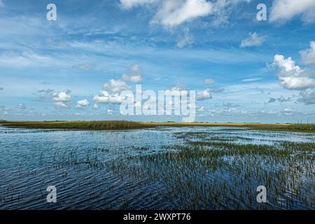 Everglades, Florida, Stati Uniti - 29 luglio 2023: Panorama blu della palude con minuscola cintura verde-gialla che separa l'acqua dal paesaggio nuvoloso Foto Stock