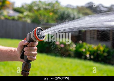 Tubo da giardino con ugello regolabile. Mano dell'uomo che tiene la pistola a spruzzo e innaffia le piante, spruzzando acqua sull'erba nel cortile. Foto Stock