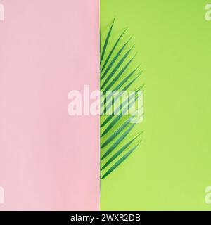 Foglie di palma tropicale verde su sfondo rosa e verde. Stile esotico estivo minimalista con spazio per copie. Piatto creativo. Foto Stock