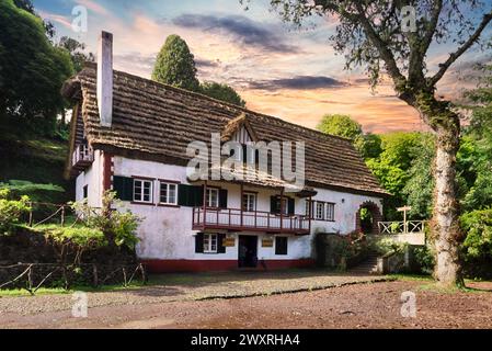 Madeira - vecchia capanna, cabina, casa con tetto di paglia nel bosco., Portogallo nel parco Florestal das Queimadas. Bel tempo con un sacco di sole e no Foto Stock