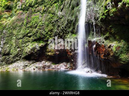 Sentiero escursionistico con la foresta in Levada do Caldeirao Verde cascata Trail - scenario tropicale sull'isola di Madeira, Santana, Portogallo. Foto Stock