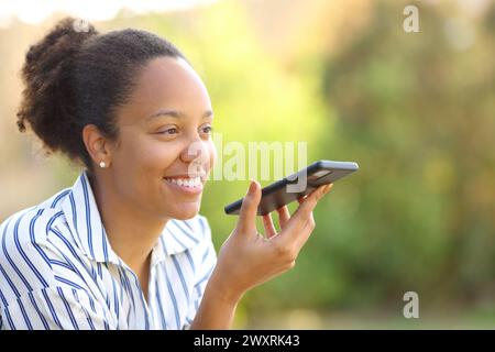 Donna nera felice che dettava un messaggio sul cellulare in un parco Foto Stock