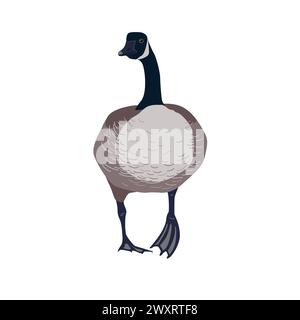 Icona delle oche canadesi isolate, illustrazione isolata vettoriale. Uccello in piedi. Illustrazione Vettoriale