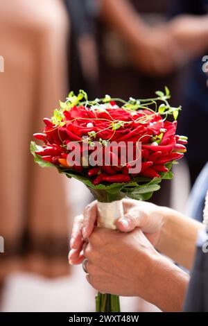 un esclusivo bouquet di nozze che combina rose rosse e peperoncini vivaci, tenuto saldamente da qualcuno nella celebrazione Foto Stock