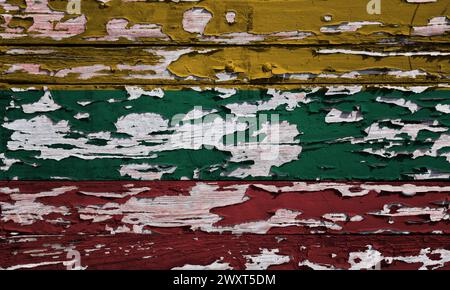 Bandiera della Lituania dipinta su una tavola di legno grunge. Foto Stock