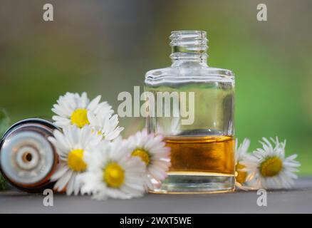 bottiglie di olio essenziale e margherite con foglie di menta fresche su un tavolo di legno all'aperto Foto Stock