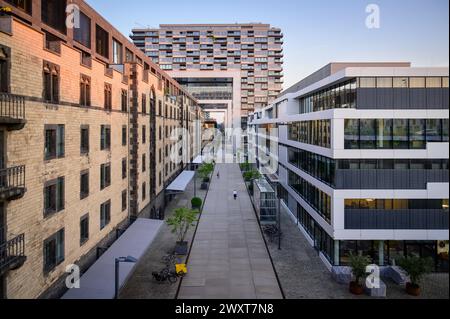 Vista sul cosiddetto Rheinauhafen, un moderno appartamento e quartiere degli affari a Colonia, Germania. Foto Stock