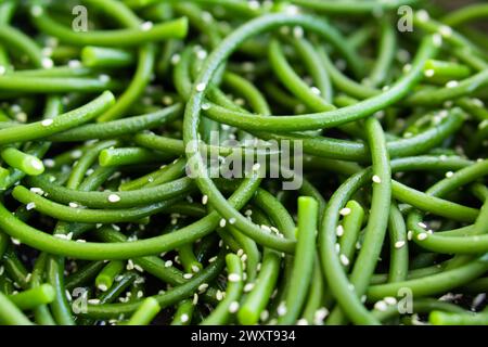 Frecce fresche all'aglio verde con semi di sesamo in primo piano. Cucina asiatica. Ingredienti per cibo. Vista dall'alto Foto Stock