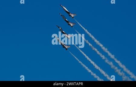 Lo United States Air Force Air Demonstration Team "Thunderbirds" si esibisce durante il Tampa Bay AirFest alla MacDill Air Force base, Florida, 30 marzo 2024. Foto Stock