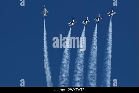 Lo United States Air Force Air Demonstration Team "Thunderbirds" si esibisce durante il Tampa Bay AirFest alla MacDill Air Force base, Florida, 30 marzo 2024. Foto Stock