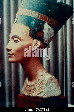Antica regina egizia Nefertiti, busto di pietra calcarea, 1300 a.C. Foto Stock