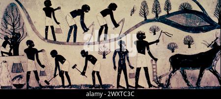 Scena agricola egiziana, pittura murale da una tomba, Tebe, Egitto 1400 a.C. Foto Stock