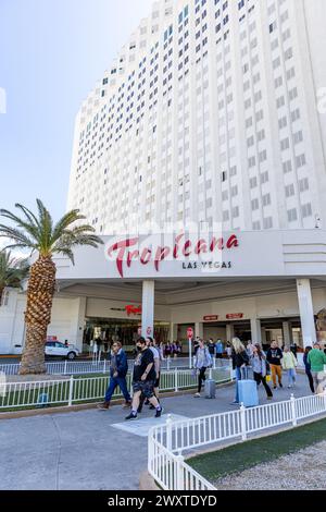 Las Vegas, Stati Uniti. 1 aprile 2024. Vista esterna e segnaletica per il Tropicana Casino and Hotel a Las Vegas, Nevada, USA, il 1° aprile 2024. (Foto di Travis P Ball/Sipa USA) credito: SIPA USA/Alamy Live News Foto Stock