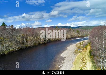 Fiume Dee Aberdeenshire Scozia a Cambus o May, affacciato sul fiume The Long Pool a Springtime Foto Stock